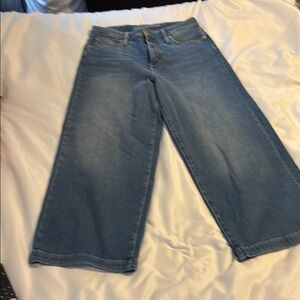 Universal Thread Blue Flare Wide Leg Jeans